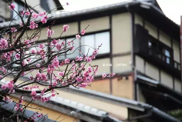 关西京都一日游攻略,日本关西旅行记录京都篇