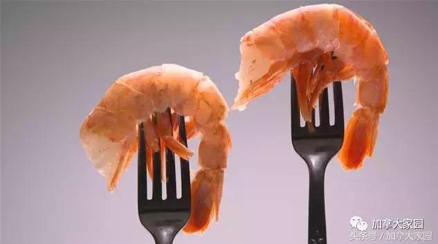 加拿大黑名单,黑名单加拿大