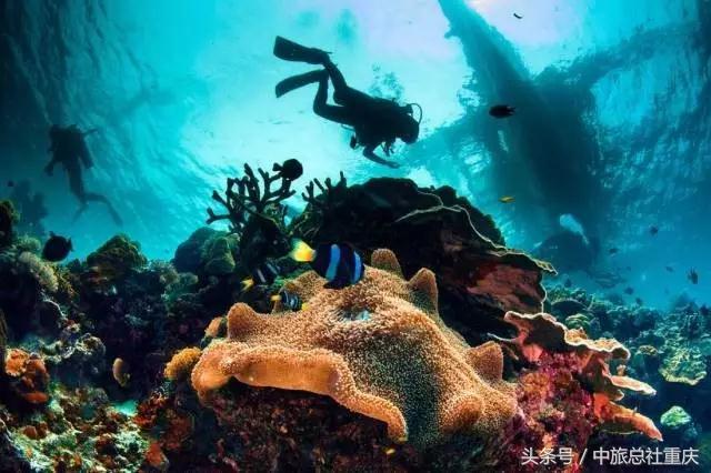 宿务旅游跟团七日游,宿务旅行攻略