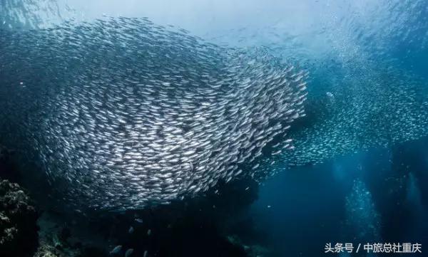 宿务旅游跟团七日游,宿务旅行攻略