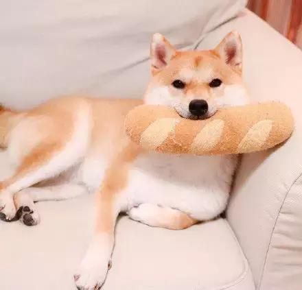 这就是别人家的员工餐视频,这就是别人家的爸爸原版视频