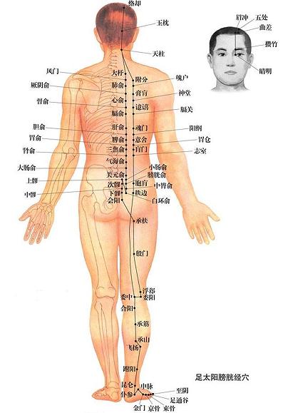 足太阳膀胱经的锻炼方法,足太阳膀胱经怎么缓解疼痛
