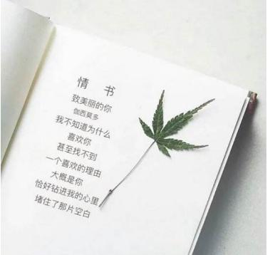 愿你与这世界温暖相拥经典语录,一句简单温暖人心的话