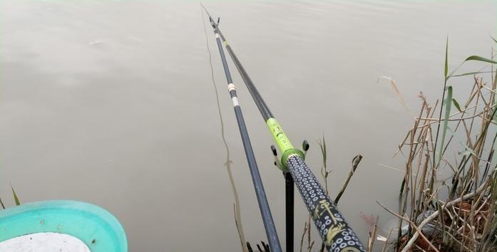 有毛不算秃含义,有毛不算秃怎么回复