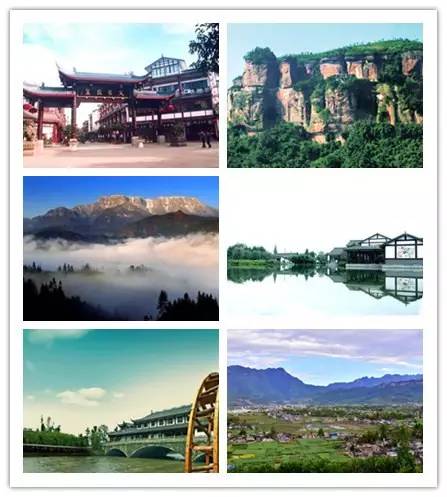 蜀兰大熊猫 (大熊猫蜀兰回家)