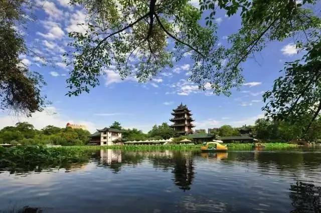 蜀兰大熊猫 (大熊猫蜀兰回家)