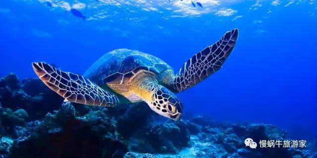 丽贝岛5天攻略,丽贝岛值不值得去