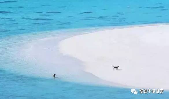 丽贝岛5天攻略,丽贝岛值不值得去