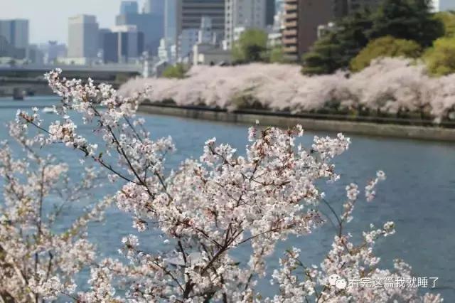 700元一晚住大雄家!揭秘大阪哆啦A梦民宿