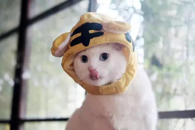 它叫小面，从此没有面敢叫大面