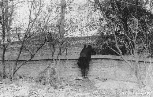 兵马俑的历史价值是多少,兵马俑是世界第八大奇迹谁命名的