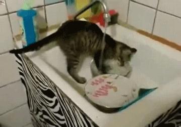 西门子洗碗机型号在机器哪里查看,西门子洗碗机线上线下型号