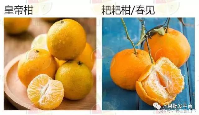 水果分类分为哪几类,超市水果分类表一览表