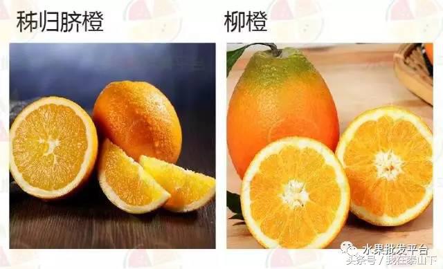 水果分类分为哪几类,超市水果分类表一览表