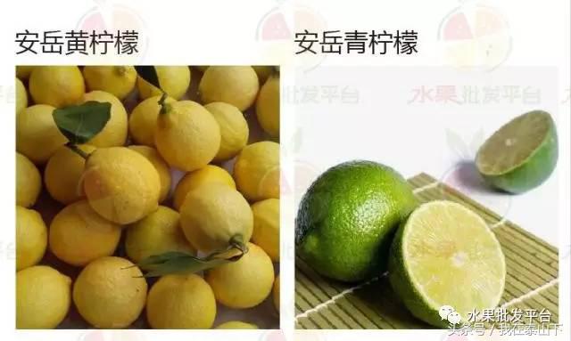 水果分类分为哪几类,超市水果分类表一览表