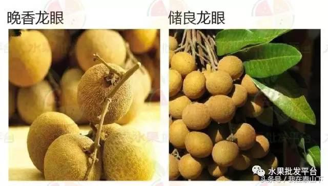 水果分类分为哪几类,超市水果分类表一览表