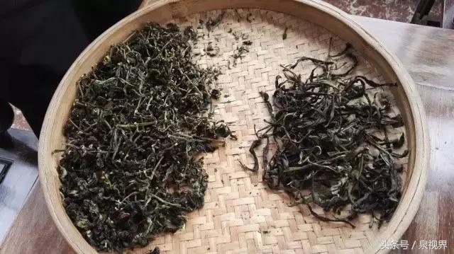 漳平水仙寻茶,永春特级老枞水仙价格