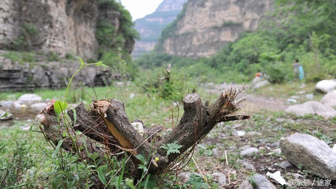 北京戏水露营钓鱼免费景点推荐,北京周边野游有山有水清凉谷
