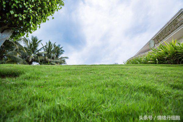 三亚亚龙湾美高梅度假酒店测评,三亚亚龙湾美高梅度假酒店电话