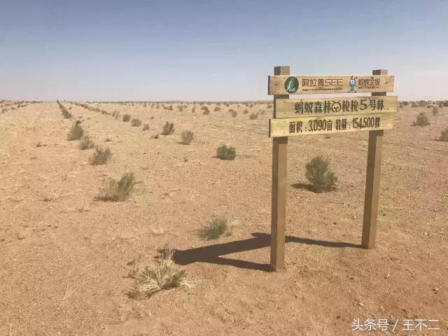 支付宝你神经病呀,再这样下去友谊的小船说翻就翻啦