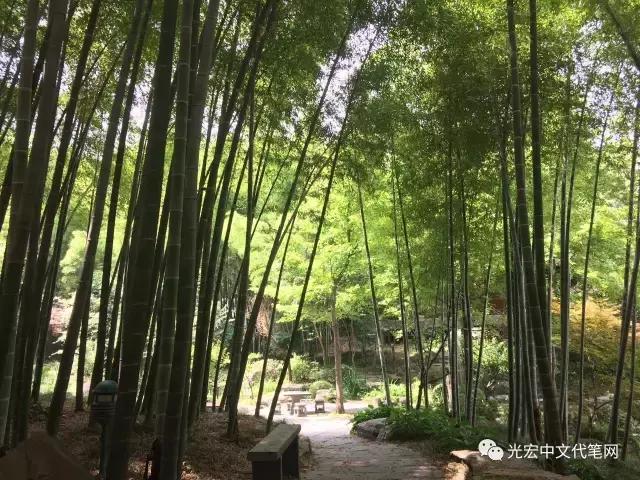 安徽铜陵永泉农庄在哪里,永泉生态农庄