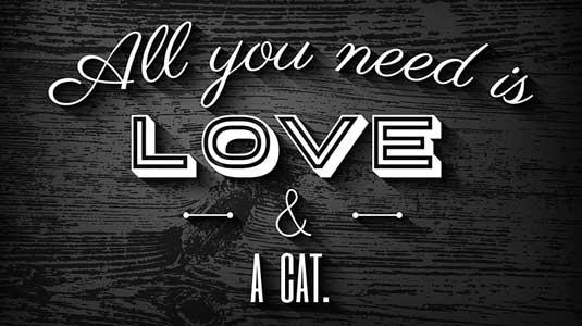 设计网站首页排版教程图,昆明装修网站首页排版优化