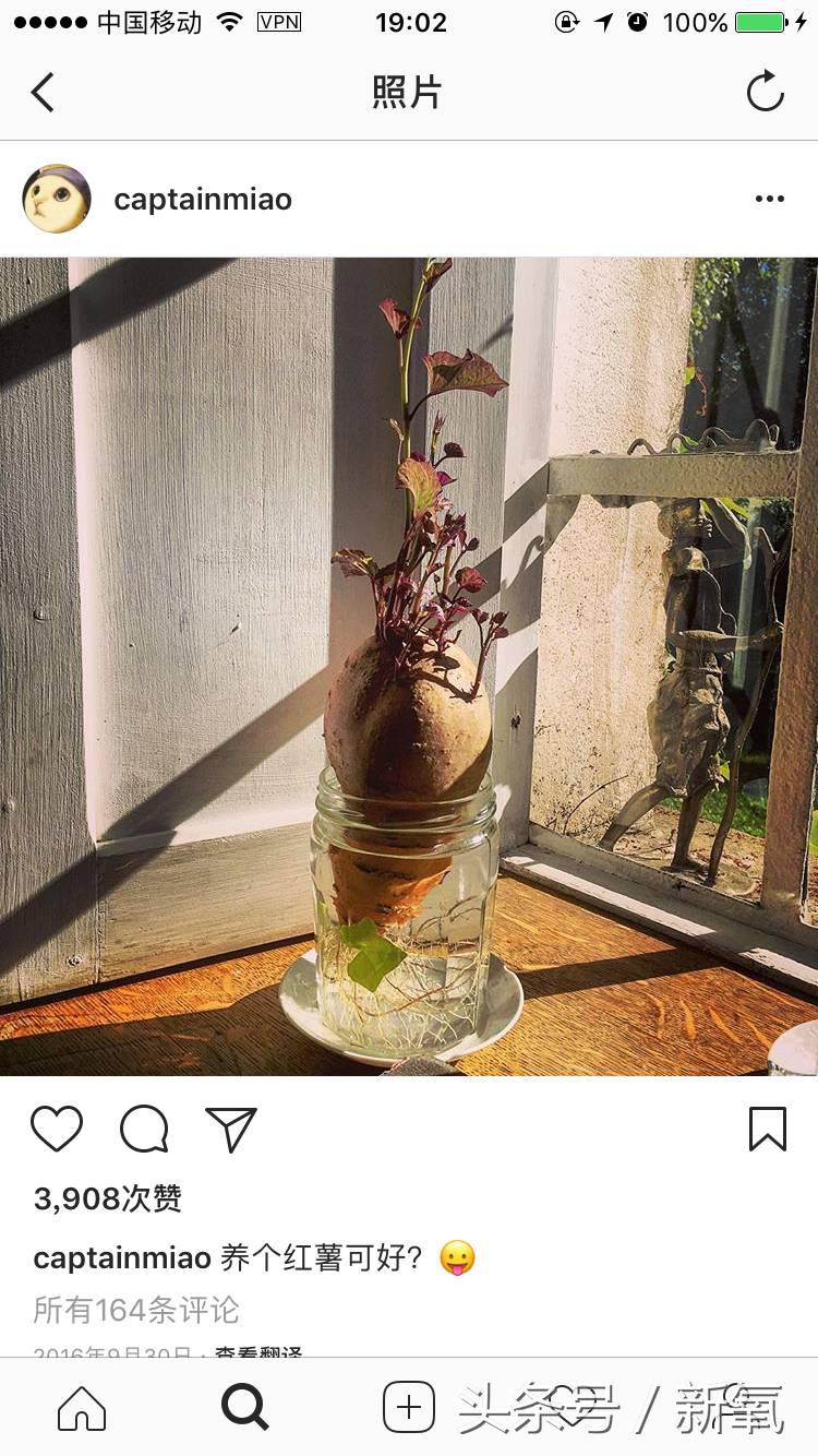 扒开女明星的化妆包｜看完倪妮的化妆品我觉得井柏然养不起她