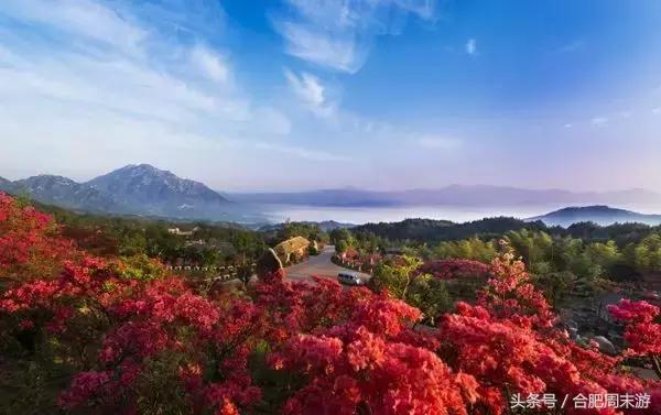 合肥周边端午旅游一日游,春节合肥周边游自驾游景点推荐