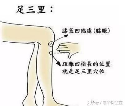 端午的九毒日是什么,端午九毒日一年中最佳的排毒时期