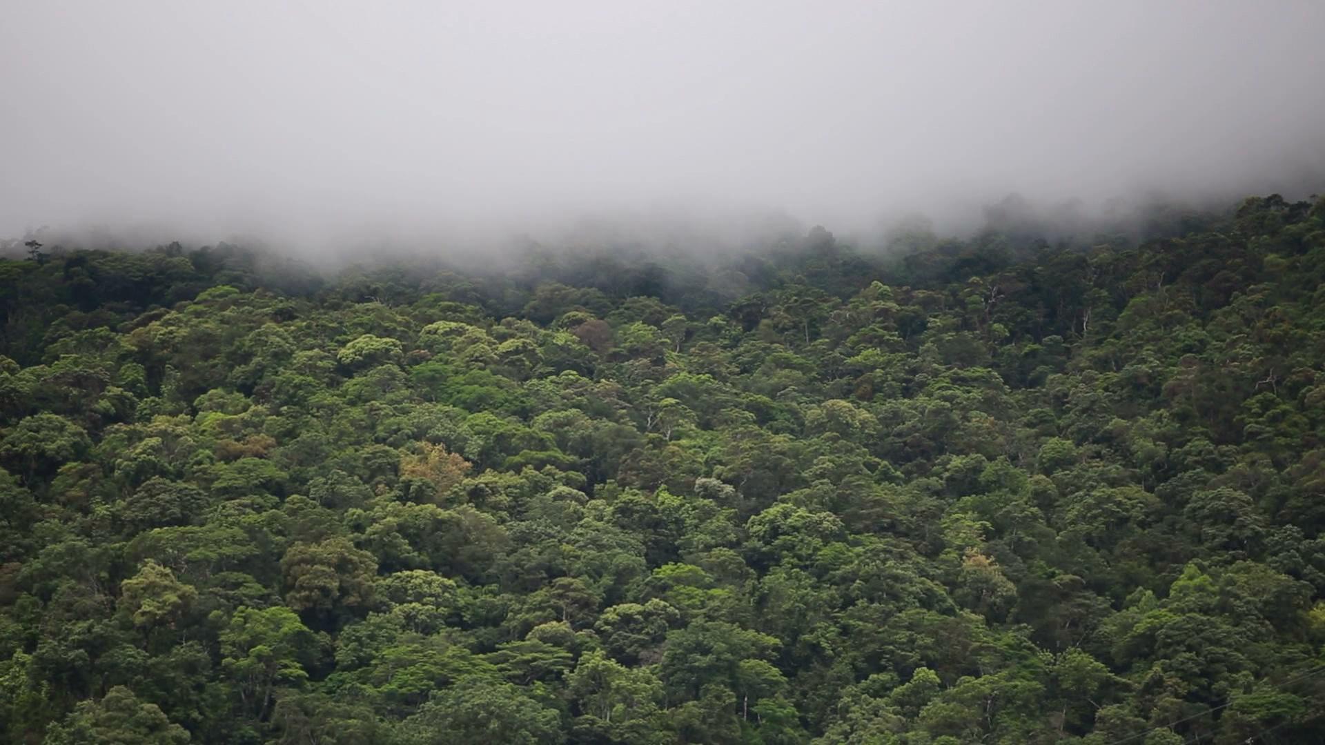 韩国旅游首选哪里,韩国旅游首选