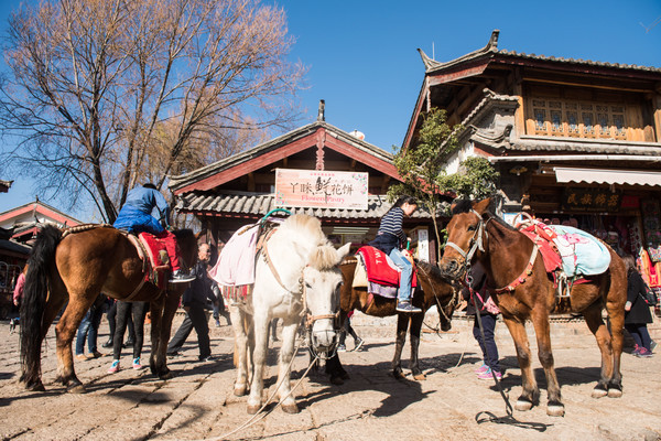 丽江攻略束河古镇,丽江束河古镇蓝石客栈住宿价格