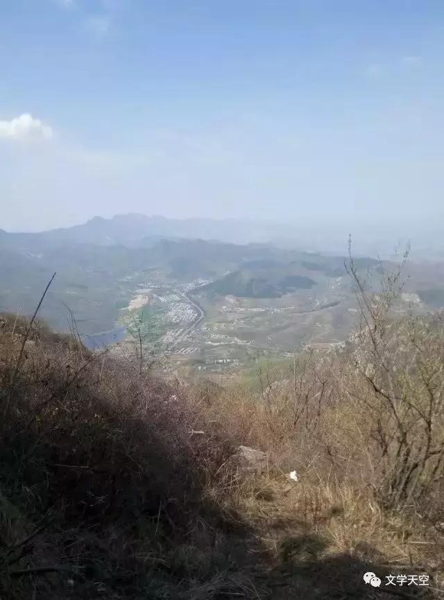 陈玲玲创作的原声,陈玲玲创作