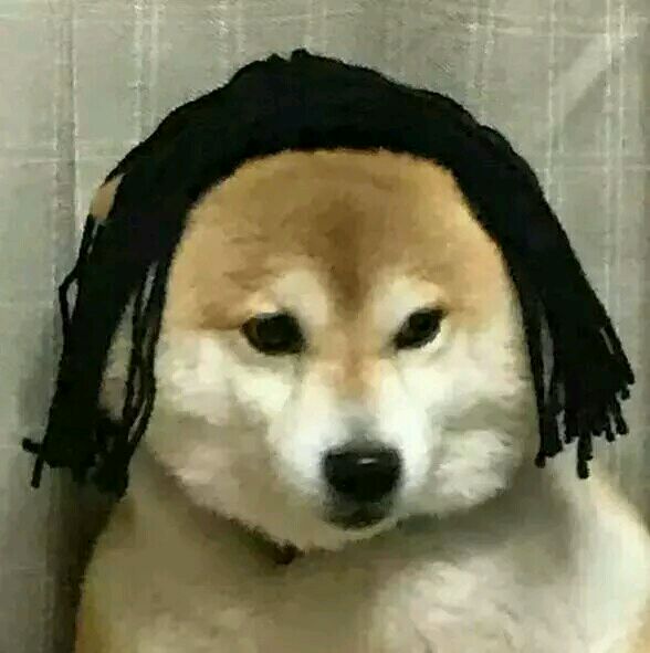 超小，巨小，无与伦比小的表情包，速来查收！