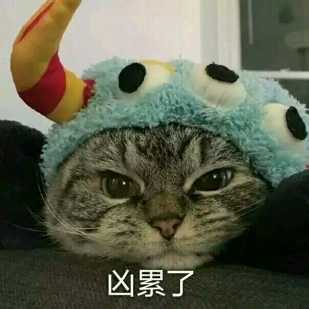 超小，巨小，无与伦比小的表情包，速来查收！