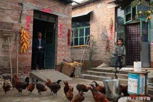 京东跑步鸡项目还在搞吗,京东养鸡项目哪些区域能申请