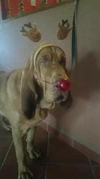 异地女朋友被欺负了怎么安慰,女朋友被欺负男朋友打架