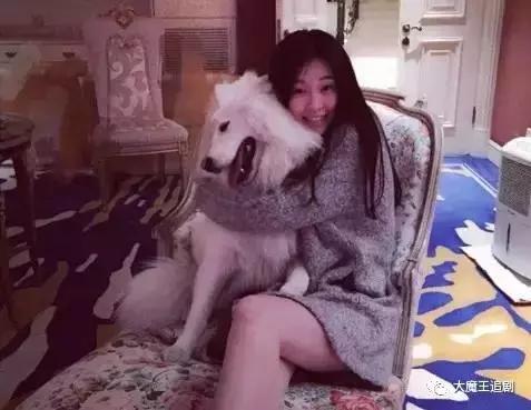 关关乔欣现实版曲筱绡,曲筱绡关关