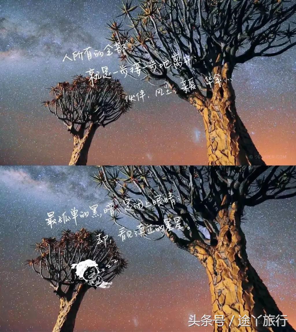 花儿与少年十大必备物品,花儿与少年旅游为什么带4个箱子