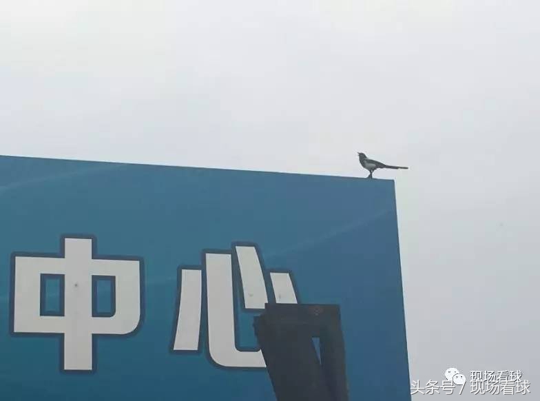 国安u16青超联赛名单,北京国安u19青超联赛第四轮