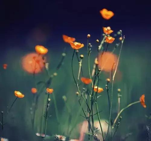 用了很久都不舍得换的个性签名,让人觉得温柔又惹不起的个性签名