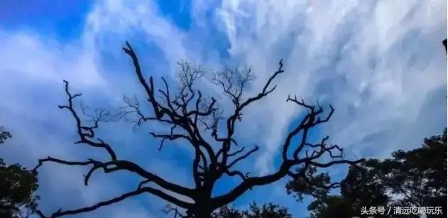 英德沙口的老乡，你们记忆中的家乡是不是这样的？