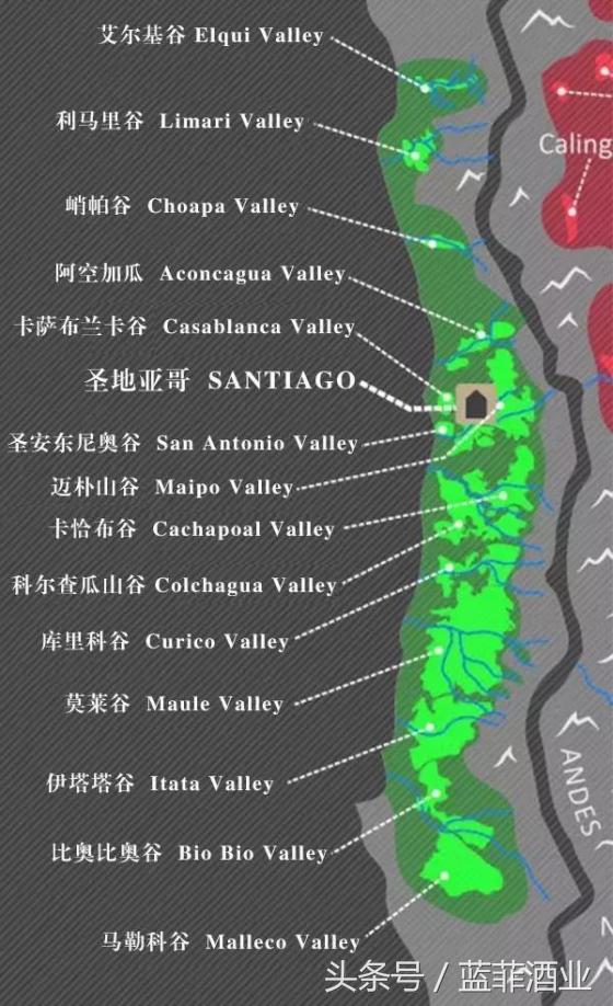哪款智利红酒好喝性价比高,智利红酒最好的是哪种