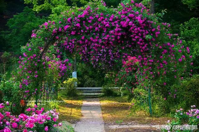 南京是一座很美的城市,南京最让人震撼的城市