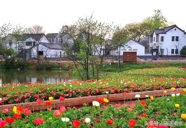 南京是一座很美的城市,南京最让人震撼的城市