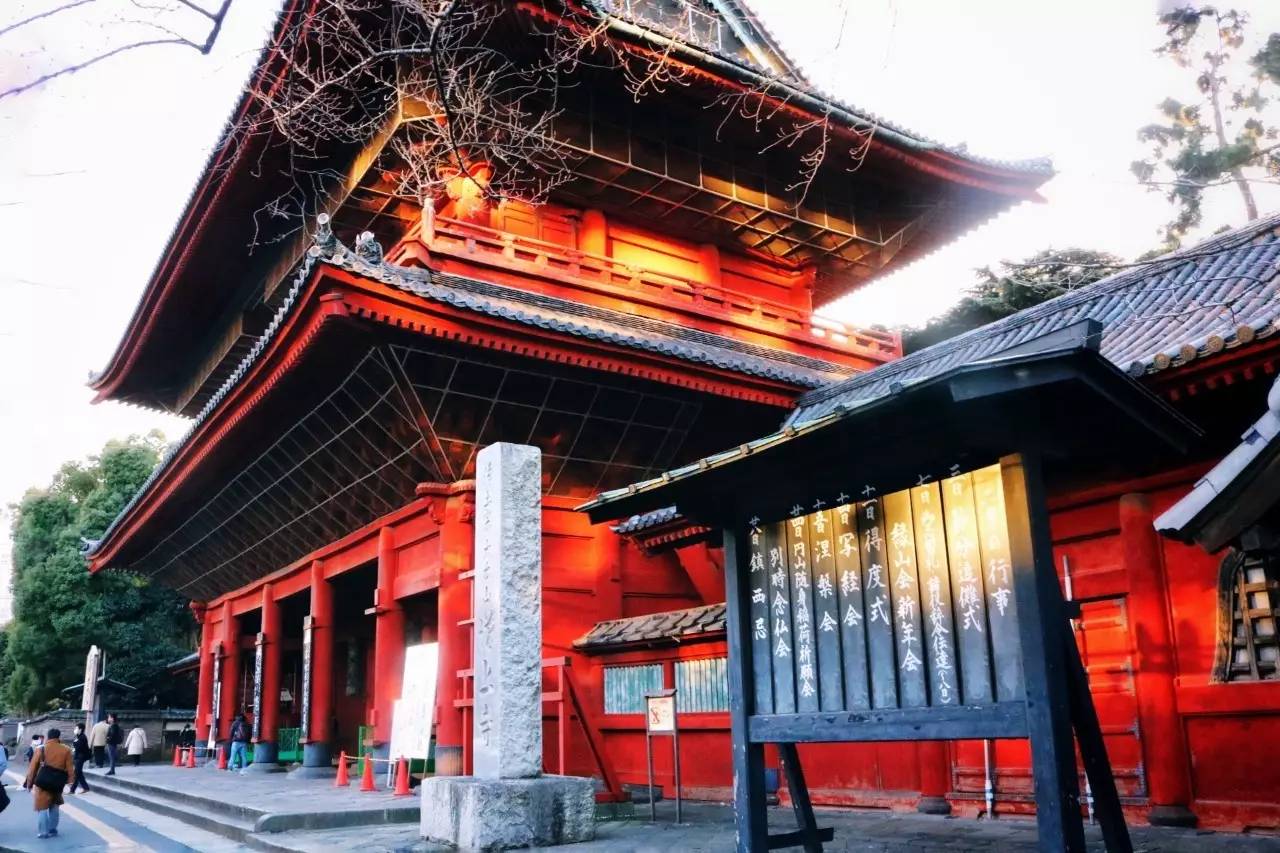 东京Tokyo丨如果你不爱她，请别招惹她