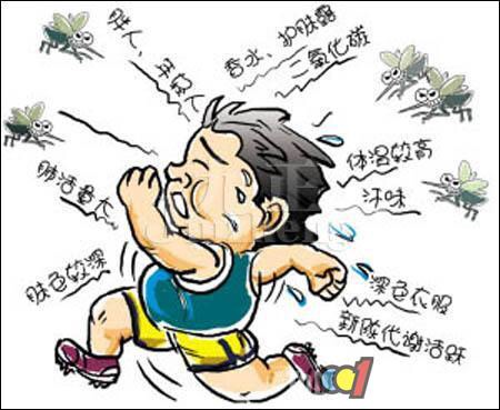 容易招惹蚊子的体质怎么预防,被蚊子叮很快能消除是什么体质