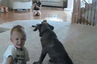 你身边有这么贱的人吗,你身边有没有很贱的人