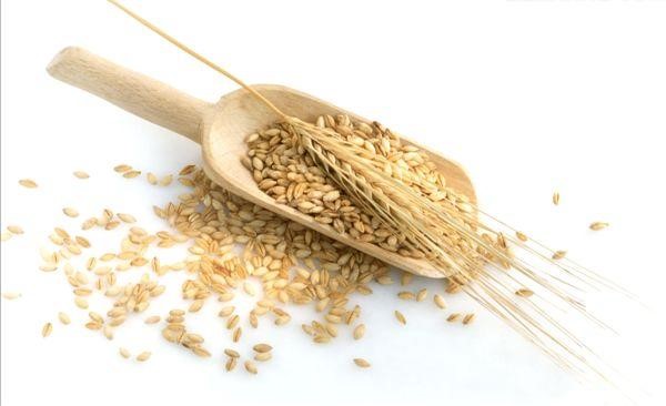 有种脚气不是香港脚而是江户脚,还曾经搞死了日本的最高统治者