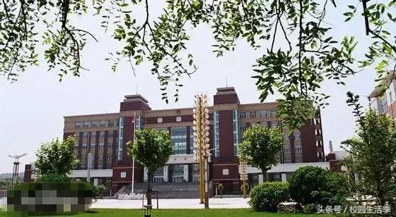 大连理工丑闻,大连理工大连海事东北财经