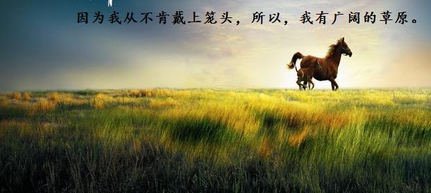 空手套白狼之：一个举措公司年销售额由100到1000W